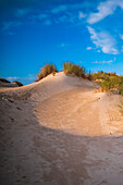 Dunes of Praia da Cova da Alfarroba beach in Peniche, Portugal