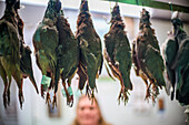 Seville, Spain, Nov 25 2016, Fresh partridges displayed suspended in a Spanish butcher shop in Seville
