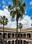 Explore the beautiful Palacio de los Marqueses de la Algaba in Seville, with palm trees and classic Renaissance architecture!