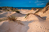 Dunes of Praia da Cova da Alfarroba beach in Peniche, Portugal