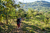 Wandern im Bergdorf Guaymi (Ngäbe-Buglé (Guaymi)), Panama