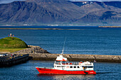 Elding Whale Watching Boat in Reykjavik, Iceland.