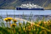 SH Vega cruise is an expedition cruise ship operated by Swan Hellenic, near Dynjandi waterfall at the west fjords of Iceland.