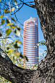 Torre Sevilla skyscraper framed by natural tree branches, Andalusia, southern Spain, under sunlight.