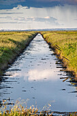 Artificial canal runs alongside marshland in Doñana, capturing reflections of the sky and landscape in its tranquil waters.