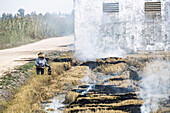 A person burns harvested rice field residues on a rural farm in Isla Mayor, Spain.
