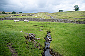 Feld auf einem Hügel in der Landschaft von Yorkshire, England