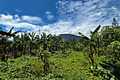 Mount Hagen, Hochlandregion, Papua-Neuguinea