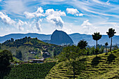 The Piedra del Penon or Penon de Guatape, a rock formation near Guatape, Colombia with farms in front.