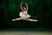Das Allegro Dance Studio ist eine Akademie, die klassisches Ballett unterrichtet und den Tanz in Medellín fördert. Es entwickelt klassische Ballettausbildungsprogramme, die auf einem tiefen Verständnis der Technik basieren, und fördert und unterstützt gleichzeitig künstlerische Projekte.