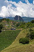 The Piedra del Penon or Penon de Guatape, a rock formation near Guatape, Colombia with farms in front.