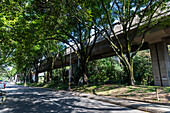 The Green Corridors strategy in Medellín represents a model of sustainable urbanism that began development in 2016 with the aim of counteracting the effects of urban heat and fostering a healthier environment for its inhabitants. This initiative is based on the creation of more than 30 ecological corridors, which connect main roads, green areas, mountains, and bodies of water through the planting and conservation of a diverse range of vegetation, including trees, shrubs, and other plants.
