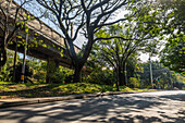 The Green Corridors strategy in Medellín represents a model of sustainable urbanism that began development in 2016 with the aim of counteracting the effects of urban heat and fostering a healthier environment for its inhabitants. This initiative is based on the creation of more than 30 ecological corridors, which connect main roads, green areas, mountains, and bodies of water through the planting and conservation of a diverse range of vegetation, including trees, shrubs, and other plants.
