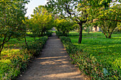 A path through the gardens to the House of Julia Felix, Building II.4.3 in the ancient Roman ruins of Pompeii, Italy.