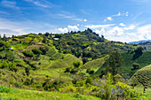 Grazing land and a coffee farm in the hilly countryside near Guatape, Colombia.