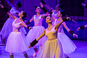 Das Allegro Dance Studio ist eine Akademie, die klassisches Ballett unterrichtet und den Tanz in Medellín fördert. Es entwickelt klassische Ballettausbildungsprogramme, die auf einem tiefen Verständnis der Technik basieren, und fördert und unterstützt gleichzeitig künstlerische Projekte.
