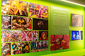 The Barranquilla Carnival Museum is a space dedicated to safeguarding, disseminating and exhibiting the manifestations and traditions of the city's emblematic carnival. In addition, it integrates an educational section that allows visitors to deeply understand the historical and cultural relevance of this festivity in addition to offering a space for the recognition of other carnivals in the world.