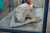 Plaster cast of a victim of the volcanic eruption, displayed in the Macellum in the ancient Roman ruins of Pompeii in Italy.