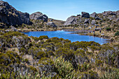 The Lagunas Negras Trail, located in the municipality of Vetas, Santander, is a hiking route located in the Páramo de Santurbán. It is a route with high mountain landscapes, characterized by impressive rock formations and lagoons of glacial origin with the presence of fauna and flora subject to conservation, among them is the endemic species of frailejon, Espeletia santanderensis.