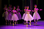 Das Allegro Dance Studio ist eine Akademie, die klassisches Ballett unterrichtet und den Tanz in Medellín fördert. Es entwickelt klassische Ballettausbildungsprogramme, die auf einem tiefen Verständnis der Technik basieren, und fördert und unterstützt gleichzeitig künstlerische Projekte.