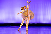 The Ballet Metropolitano de Medellín Cultural Association is a dance company based in the city of Medellín, Colombia. Its main pedagogical and projective work is classical dance. It promotes the learning and practice of high-quality classical dance.