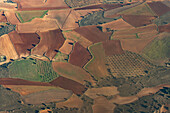 Luftaufnahme von Obstplantagen und Ackerland in der Nähe des Flughafens von Madrid in Spanien.
