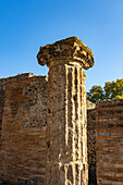 A Corinthian column of the Quadriporticus of the Theater, Building VIII.7.16, in the ancient Roman ruins of Pompeii, Italy. Also called the Gladiators Barracks or Caserma dei Gladiatori.