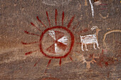 Eine Tafel mit Piktogrammen und Petroglyphen der prähispanischen amerikanischen Ureinwohner im Cottonwood Canyon, Nine Mile Canyon in Utah. Abgebildet sind ein bemalter Schild und ein Dickhornschaf. Fremont-Kultur.