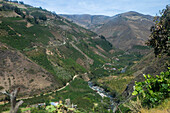 The municipality of Chitagá is located in the department of Norte de Santander, in the northeast of Colombia. Geographically, it is located in the Andean region, at an altitude of 2,300 meters above sea level, within the high plateau of the Eastern Andes mountain range. It borders with municipalities such as Pamplona, Silos and Cácota, and is part of an area characterized by moorlands and rural areas dedicated to agriculture and livestock.