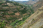 The municipality of Chitagá is located in the department of Norte de Santander, in the northeast of Colombia. Geographically, it is located in the Andean region, at an altitude of 2,300 meters above sea level, within the high plateau of the Eastern Andes mountain range. It borders with municipalities such as Pamplona, Silos and Cácota, and is part of an area characterized by moorlands and rural areas dedicated to agriculture and livestock.