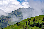 Low clouds over grazing pasture land on steep hillsides in the highlands of western Colombia, near Manizales.