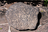 Ein Stein mit prähispanischen indianischen Petroglyphen im Historischen Museum des Nordens in Salta, Argentinien. Dargestellt sind ein Affe und ein Jaguar mit anderen Figuren.