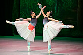 Das Allegro Dance Studio ist eine Akademie, die klassisches Ballett unterrichtet und den Tanz in Medellín fördert. Es entwickelt klassische Ballettausbildungsprogramme, die auf einem tiefen Verständnis der Technik basieren, und fördert und unterstützt gleichzeitig künstlerische Projekte.