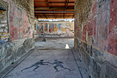 Mosaic floor with wrestlers in the Palestra dei Iuvenes, Building VIII.2.23, in the ancient Roman ruins of Pompeii, Italy. The name means Juvenile Gymnasium.