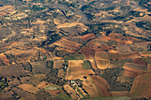 Luftaufnahme von Obstplantagen und Ackerland in der Nähe des Flughafens von Madrid in Spanien.