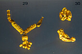 Gold necklace and errings in the National Archaeological Museum of Naples, Naples, Italy. Circa 4th Century A.D., from a tomb in Pisticci. Magna Graecia Collection.