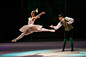 Das Allegro Dance Studio ist eine Akademie, die klassisches Ballett unterrichtet und den Tanz in Medellín fördert. Es entwickelt klassische Ballettausbildungsprogramme, die auf einem tiefen Verständnis der Technik basieren, und fördert und unterstützt gleichzeitig künstlerische Projekte.