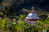 The municipality of Santo Domingo de Silos is located in the department of Norte de Santander, in the northeast of Colombia. Geographically, it is located in the Eastern Andes mountain range, at an altitude of approximately 2,850 meters above sea level. It borders municipalities such as Pamplona, ??Chitagá, Mutiscua and Cácota, in an area characterized by mountainous landscapes, moorlands and agricultural activities. It is part of the Santurbán Páramo, a water source for Santander and Norte de Santander.