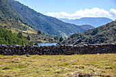 The Laguna de Cácota or Laguna del Cacique is surrounded by lush moorland vegetation, characterized by frailejones, native plants adapted to cold and humid conditions. Not only does this landscape offer a breathtaking view, but it also provides habitat for a variety of flora and fauna species adapted to these mountain ecosystems.