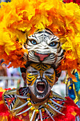 The Battle of Flowers during Barranquilla Festival, Colombia