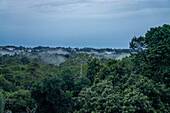 Vom Regenwald aufsteigender Bodennebel bei Sonnenuntergang im Napo Wildlife Center, Yasuni Nationalpark, Ecuador.