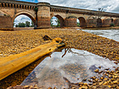 A tree trunk rests in the riverbed of the Tinto River, exhibiting the reddish hues from mineralization beside an ancient Roman bridge.