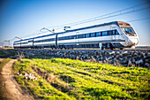 Ein elektrischer Mittelstreckenzug gleitet durch die malerische Landschaft von Sevilla, umgeben von saftig grünen Feldern unter einem strahlend blauen Himmel.