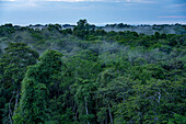 Vom Regenwald aufsteigender Bodennebel bei Sonnenuntergang im Napo Wildlife Center, Yasuni Nationalpark, Ecuador.