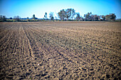 Ploughed fields stretch across the countryside of Seville, showcasing the rich soil ready for planting in Andalusia.