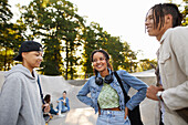 Gruppe von Freunden, die zusammen im Skatepark abhängen