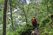 Rear view of man with his children hiking on mountain during vacations