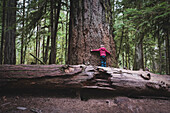 Rear view of girl hugging large tree trunk in forest
