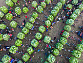 Bogura, Bangladesh - 14 December 2024: Aerial view of a vibrant winter market with fresh vegetables and greens being sold by farmers, Bogura, Bogura, Bangladesh.