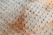 Aerial view of almond trees in patterned fields, Velez-Rubio, provincia de Almeria, Spain.